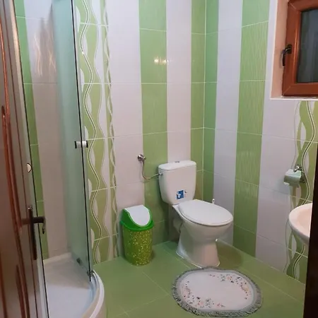 Pensiunea Ancuta din Botiza Exterior foto