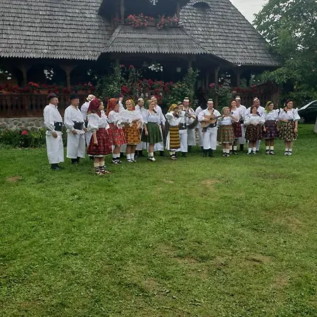 Pensiunea Ancuta din Botiza Exterior foto