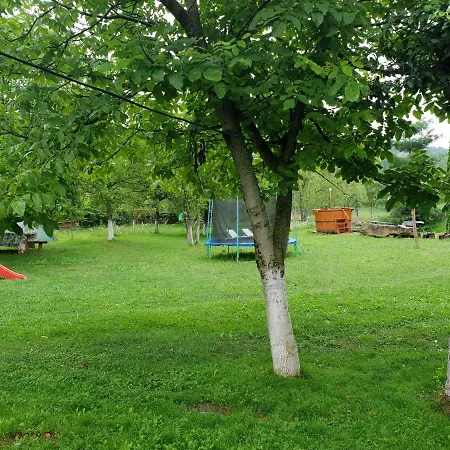 Pensiunea Ancuta din Botiza Exterior foto