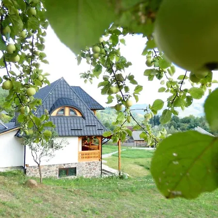 Pensiunea Ancuta din Botiza Exterior foto