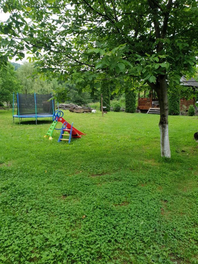 Pensiunea Ancuta Din Hébergement de vacances Botiza