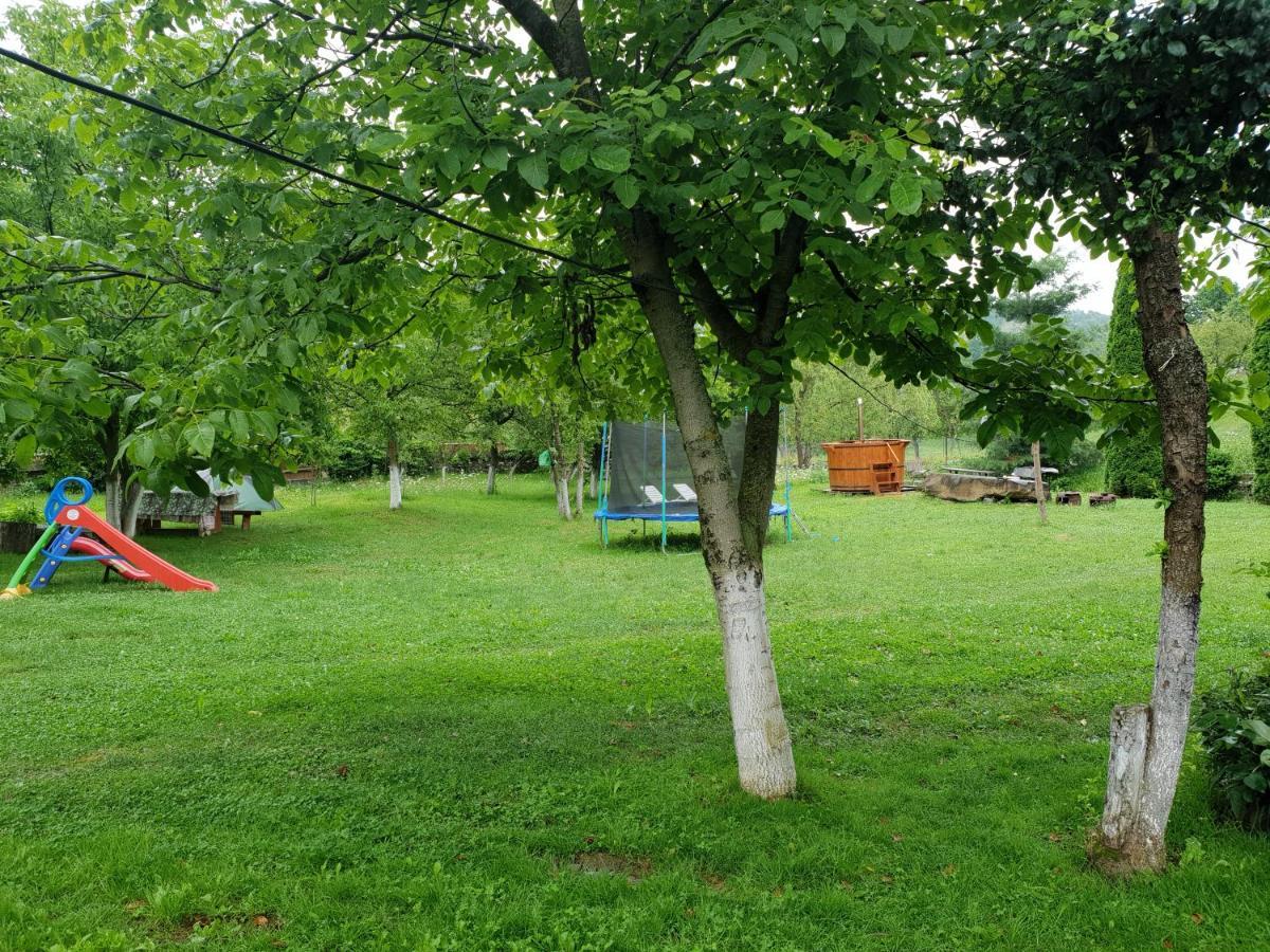 Pensiunea Ancuta Din Holiday home Botiza