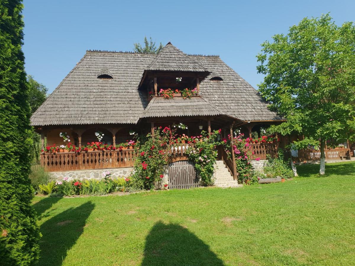 Hébergement de vacances Pensiunea Ancuta Din