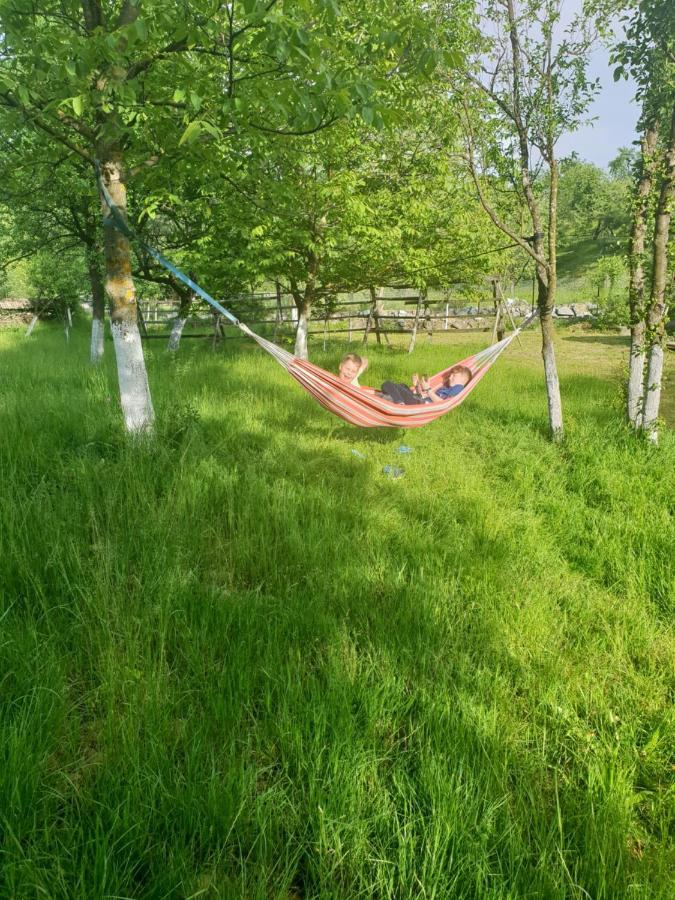 Holiday home Pensiunea Ancuta Din *