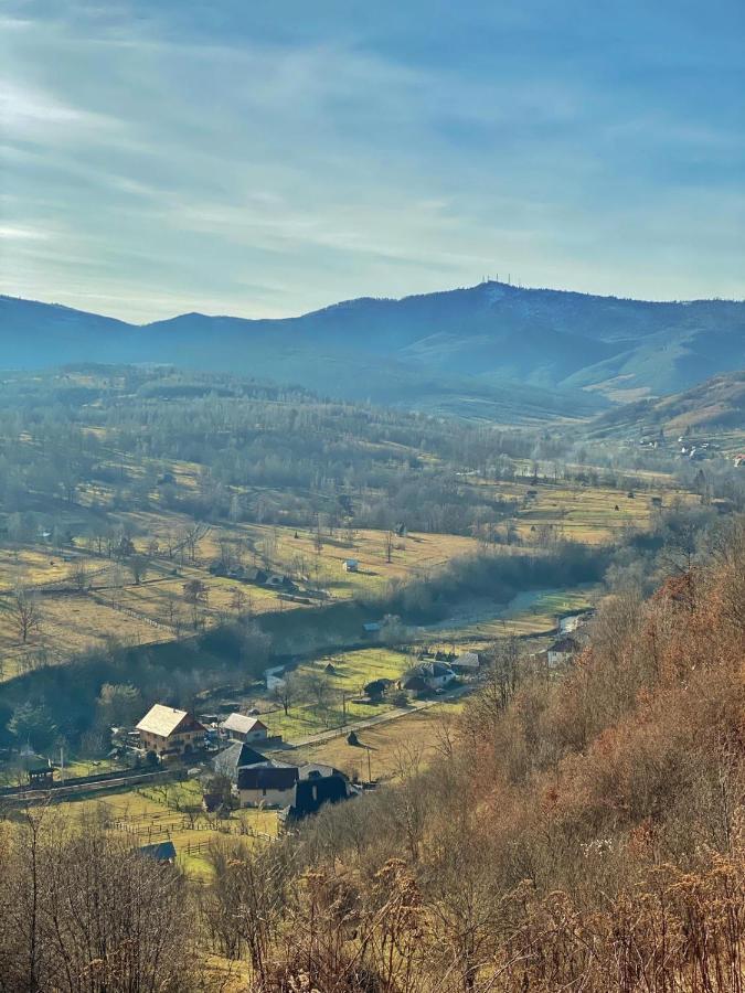 Pensiunea Ancuta Din Ferienhaus