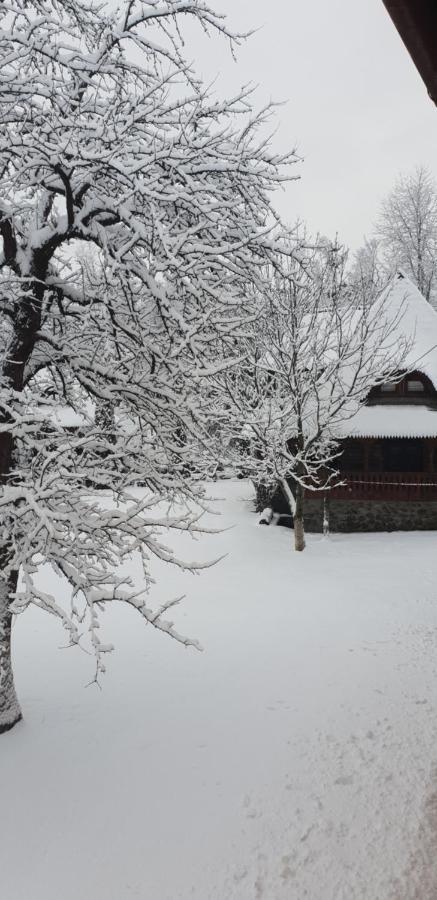 Holiday home Pensiunea Ancuta Din Botiza