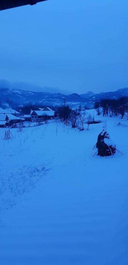 Pensiunea Ancuta Din Holiday home