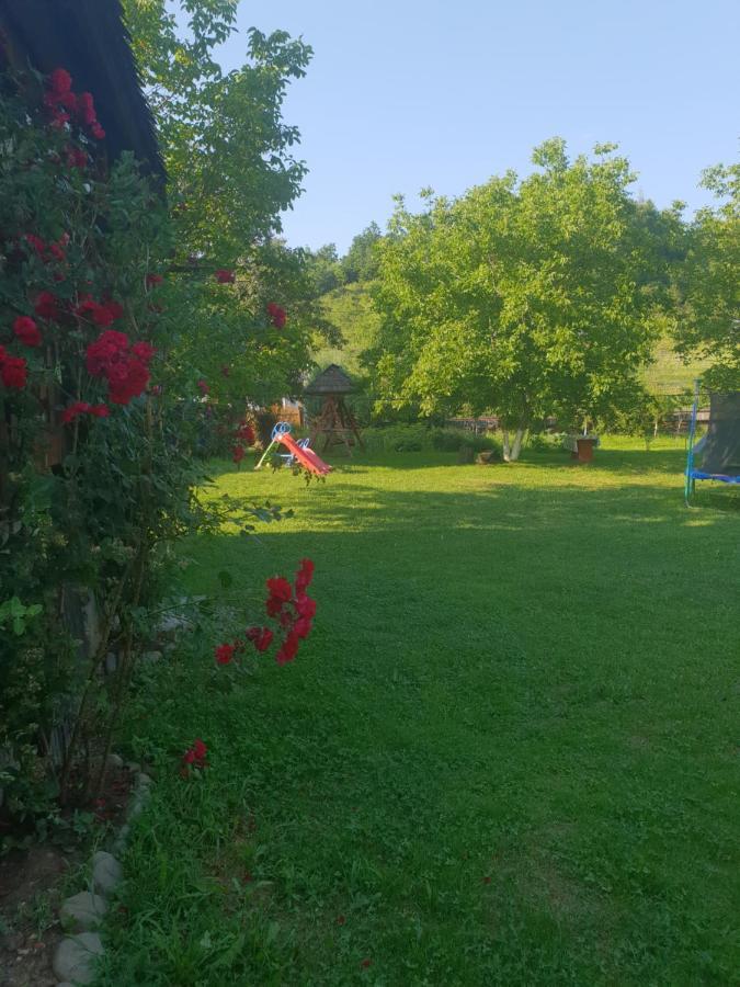 Pensiunea Ancuta Din Holiday home
