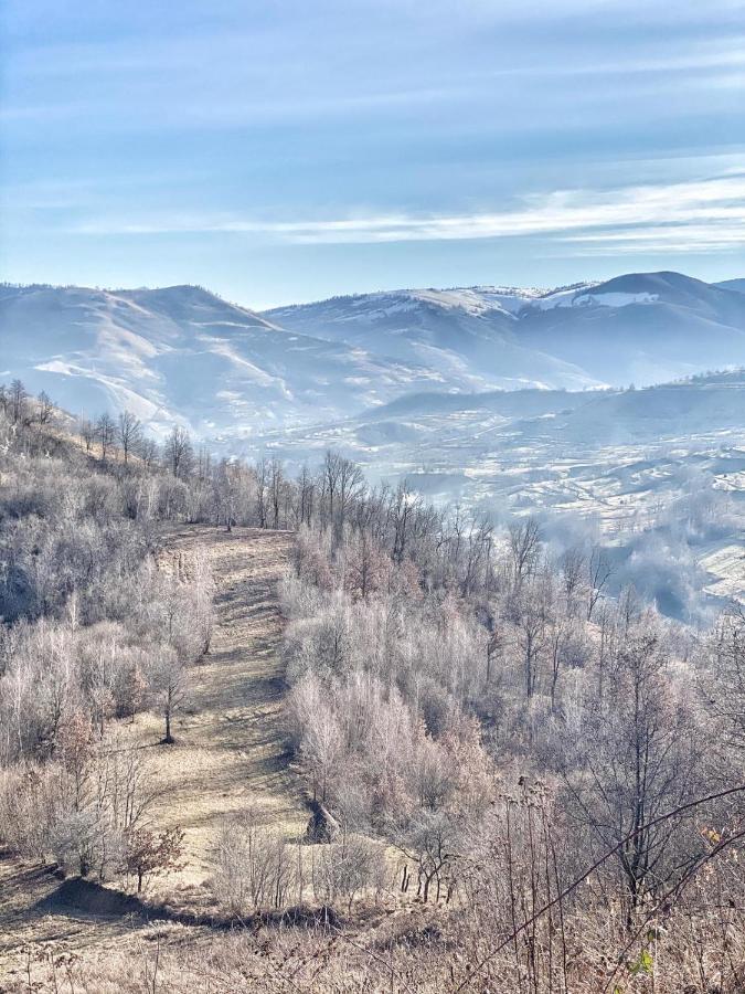 Pensiunea Ancuta Din Hébergement de vacances