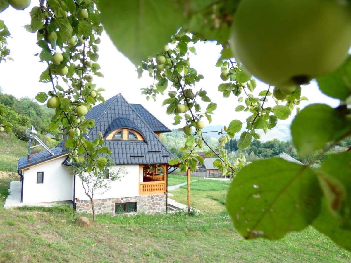 Pensiunea Ancuta Din Ferienhaus Botiza