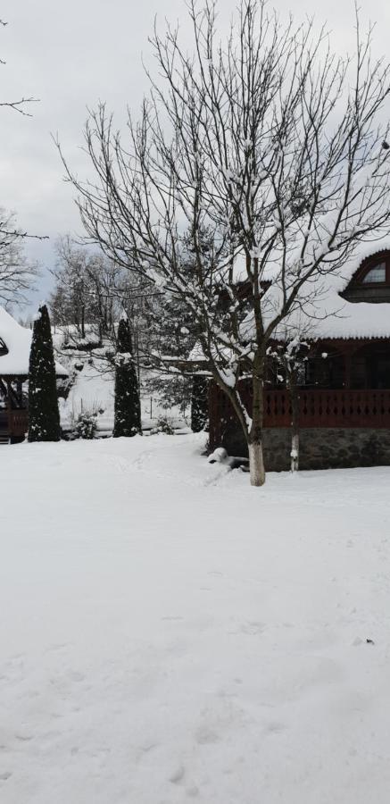 Pensiunea Ancuta Din Botiza