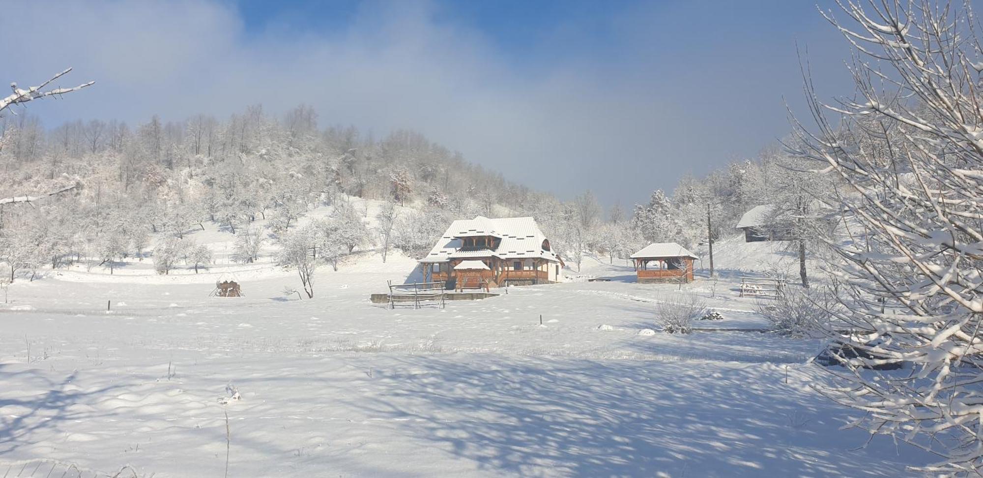 Pensiunea Ancuta Din Holiday home *