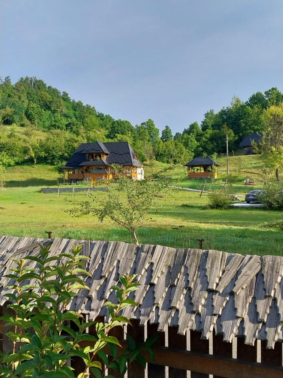 Pensiunea Ancuta Din Holiday home *