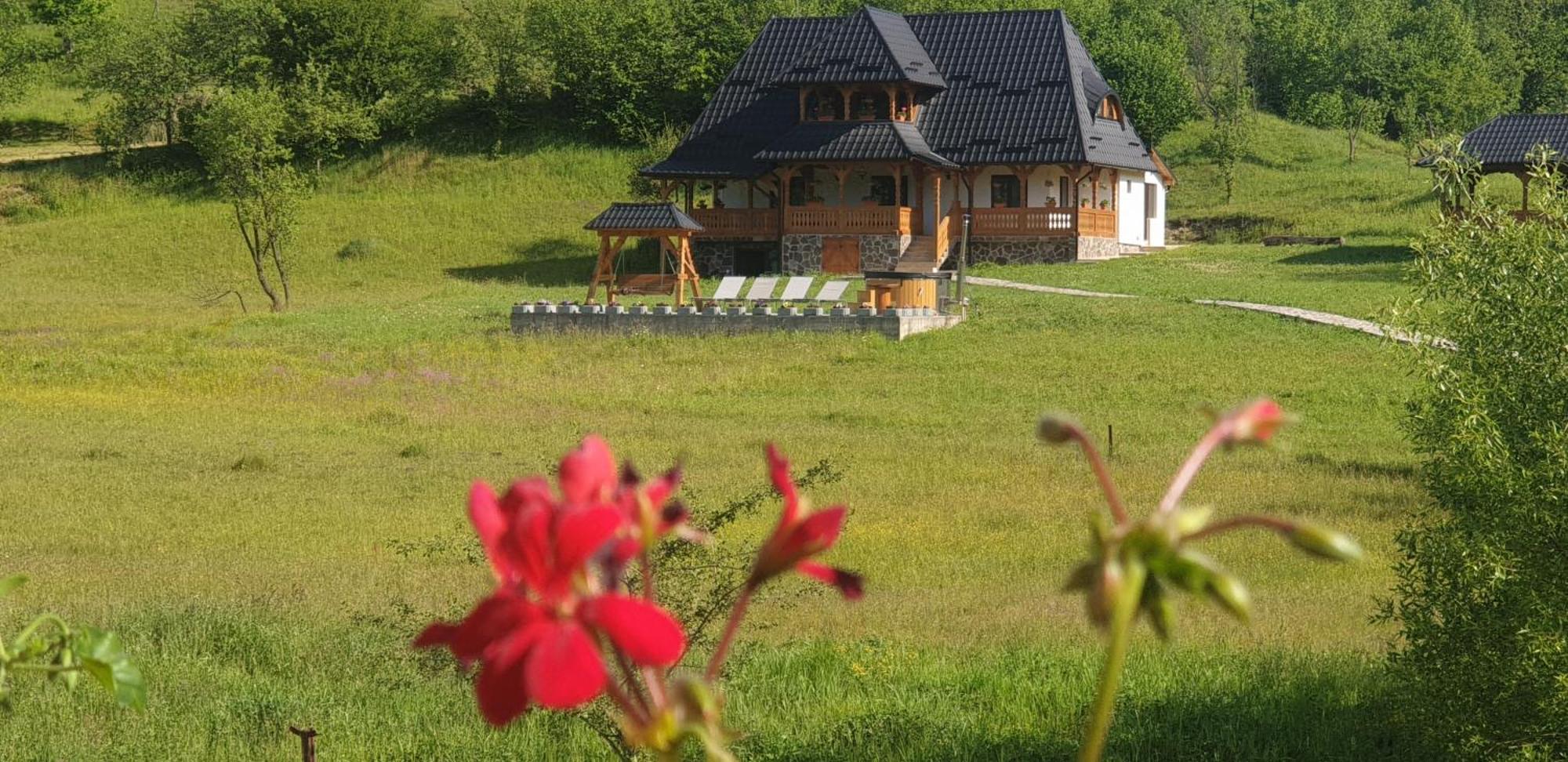 Pensiunea Ancuta Din Ferienhaus *