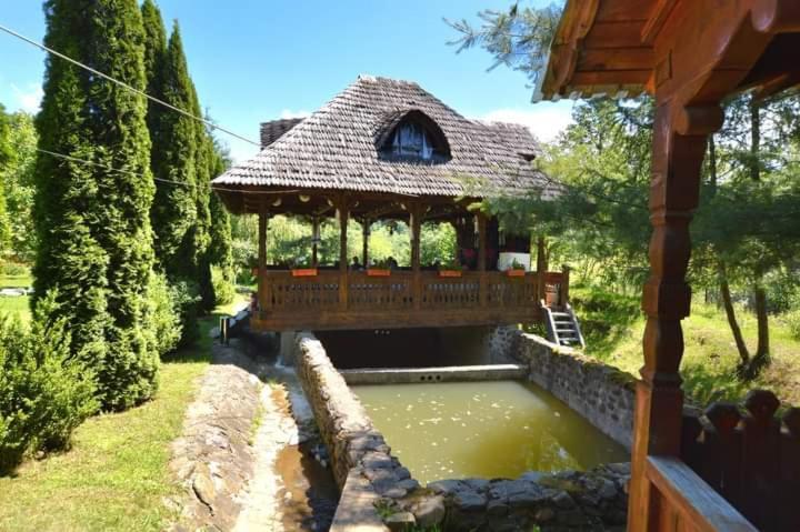 Pensiunea Ancuta Din Holiday home