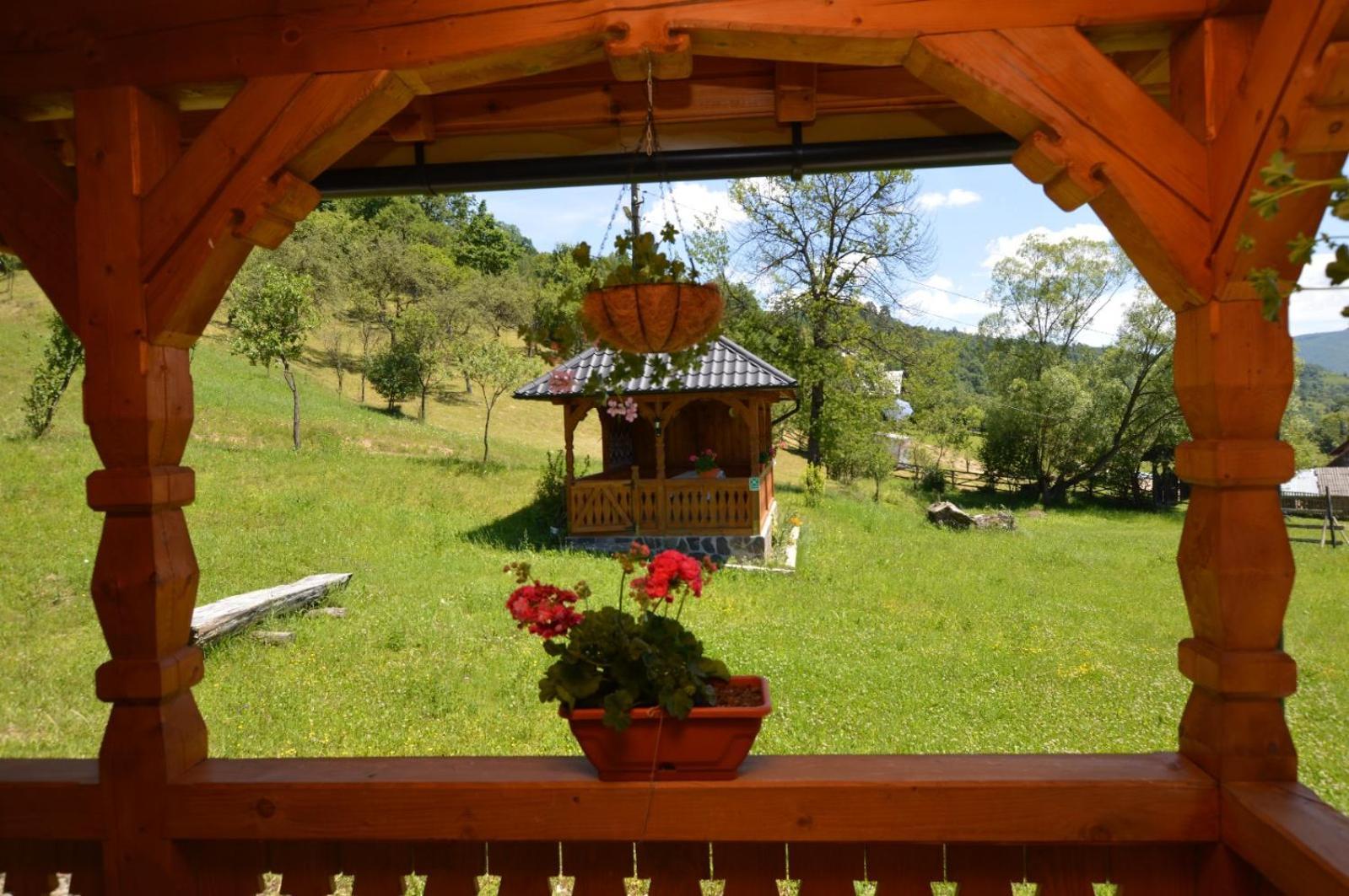 Ferienhaus Pensiunea Ancuta Din