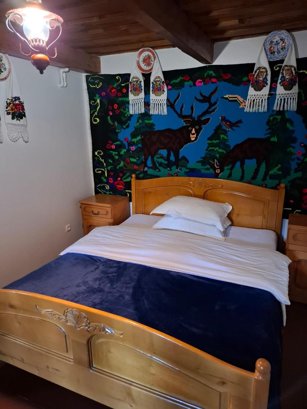 Holiday home Pensiunea Ancuta Din